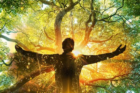  The Boy Who Spoke to Trees : A Magical Tale of Connection and Nature's Wisdom